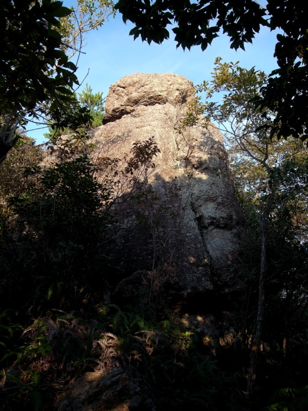 f0325295_14581700.jpg