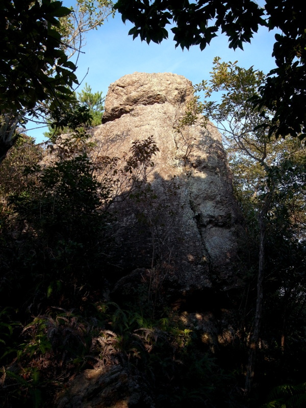 観音寺山に登る！の巻_f0325295_14581700.jpg