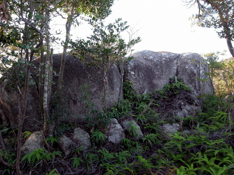f0325295_15024884.jpg