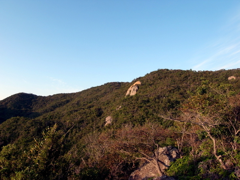 観音寺山に登る！の巻_f0325295_15040899.jpg