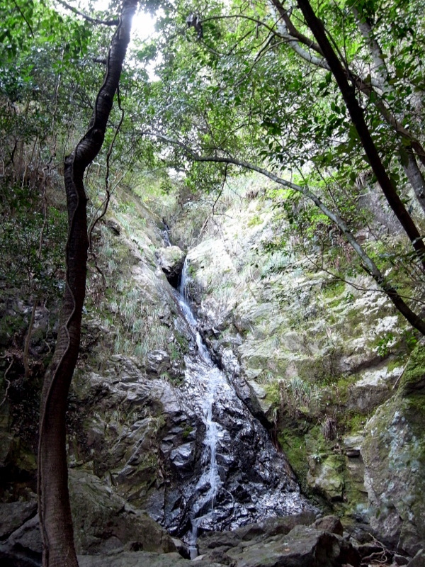 f0325295_15391192.jpg
