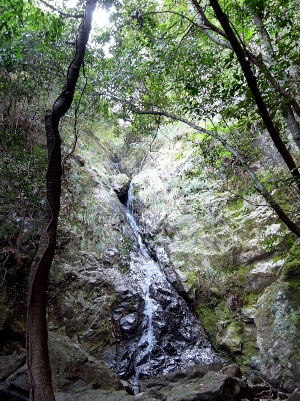 観音寺山に登る！の巻_f0325295_15391192.jpg