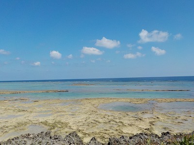 d0074596_09194922.jpg