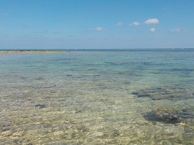 d0074596_09205246.jpg