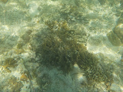 d0074596_09213661.jpg