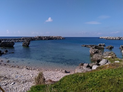 d0074596_19555669.jpg