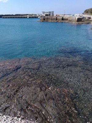d0074596_19565401.jpg