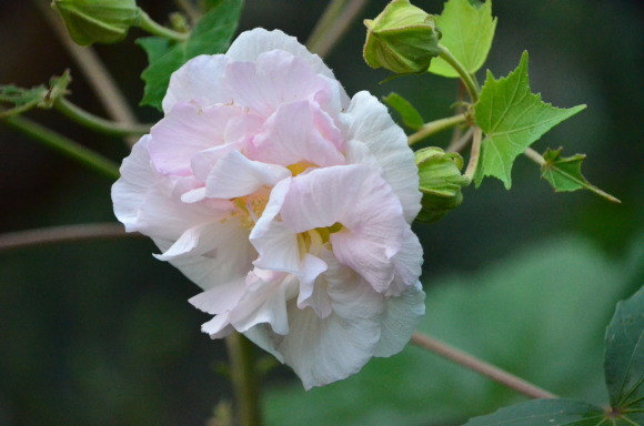a0288500_20434585.jpg