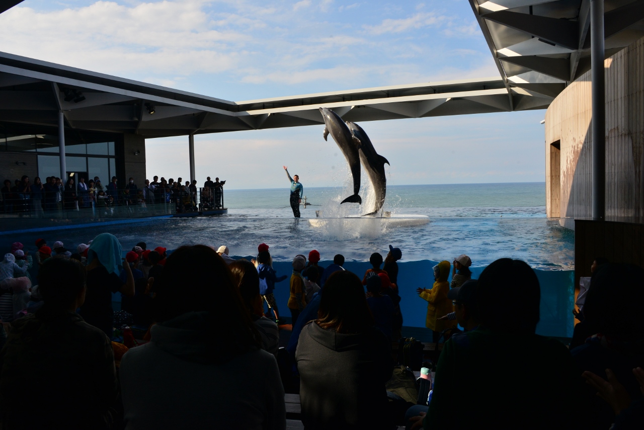 上越市立水族博物館「うみがたり」へ_e0087201_17261054.jpg