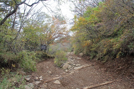 a0158702_15371876.jpg