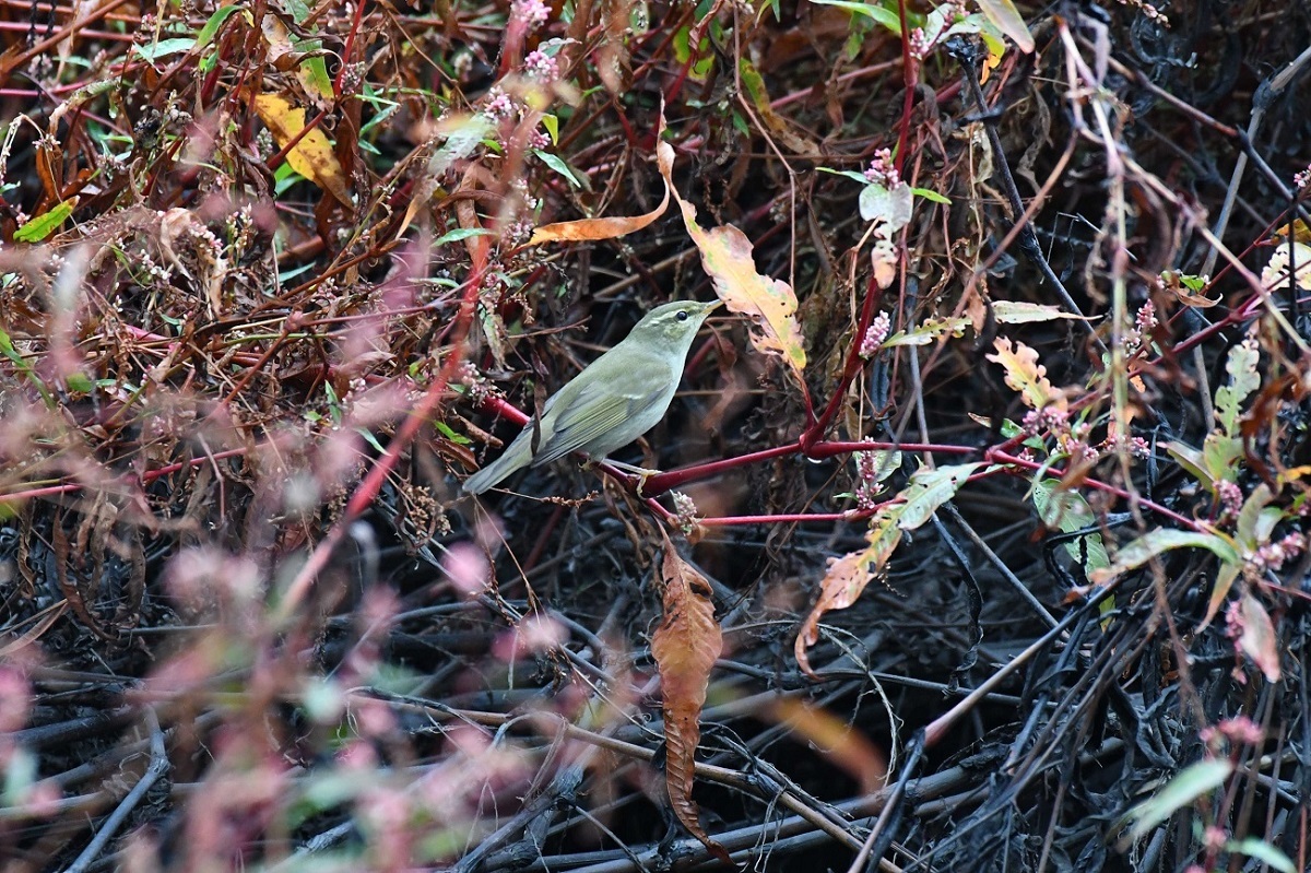 b0367008_18245840.jpg