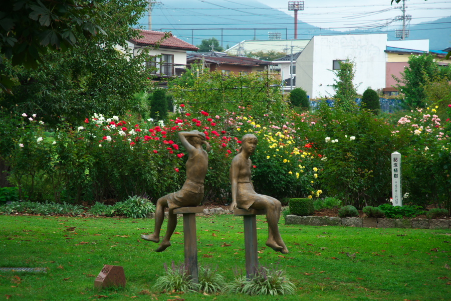 中野市 一本木公園の秋薔薇とダリア6_a0263109_11172617.jpg