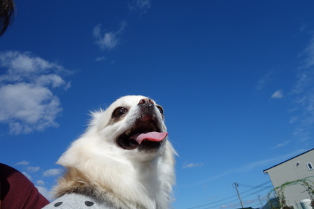 青空が気持ち良い木曜日☀_f0170713_09512162.jpg