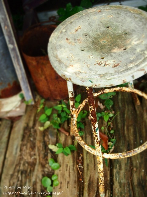 c0274618_20130313.jpg