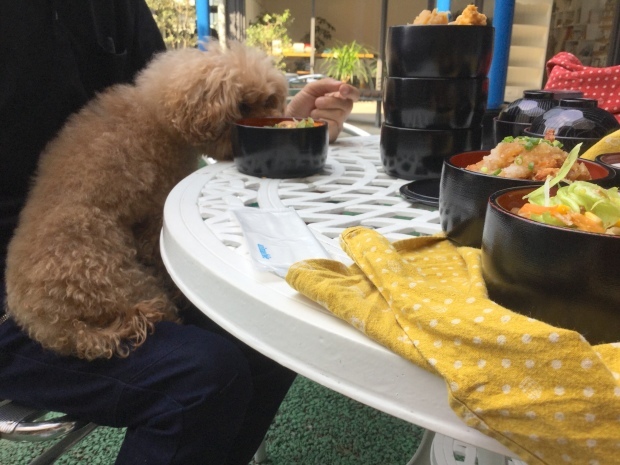 d0387831_18051986.jpeg