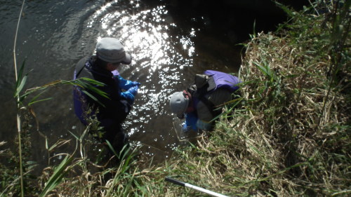 c0185132_11073748.jpg