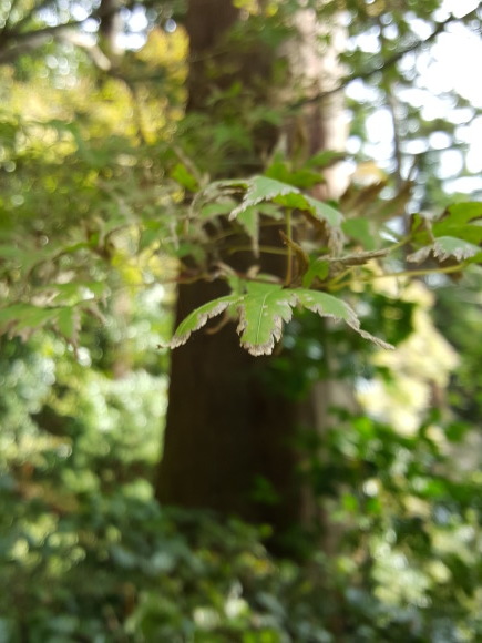 d0269832_06463927.jpeg
