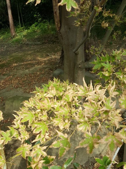 d0269832_06465102.jpeg
