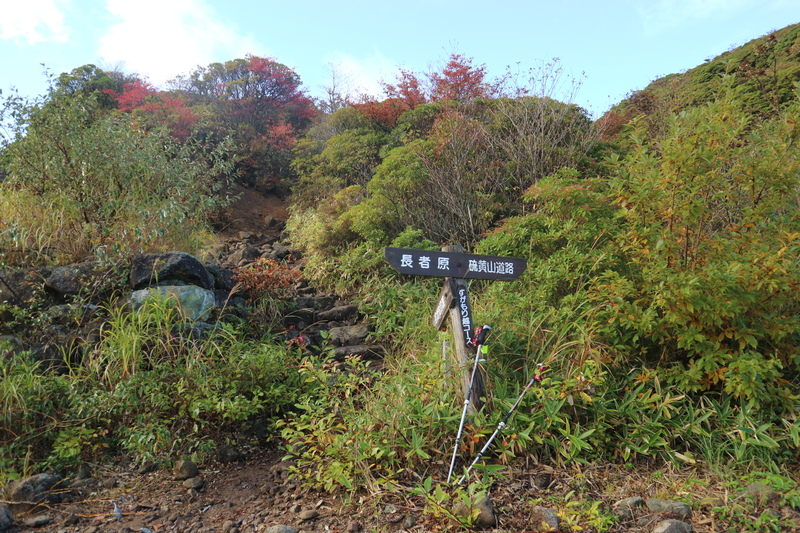 e0272335_2184538.jpg
