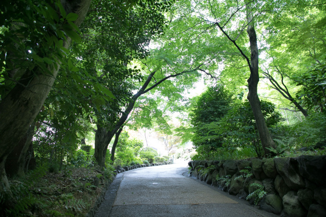 紫陽花の頃の話 〜 キラク写真講座 撮影会_e0369736_19200793.jpg