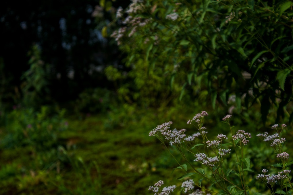 e0363038_15001755.jpg
