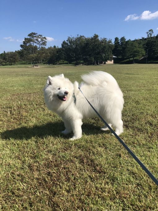 2018年10月前半インスタ画像集_f0128542_01531487.jpg