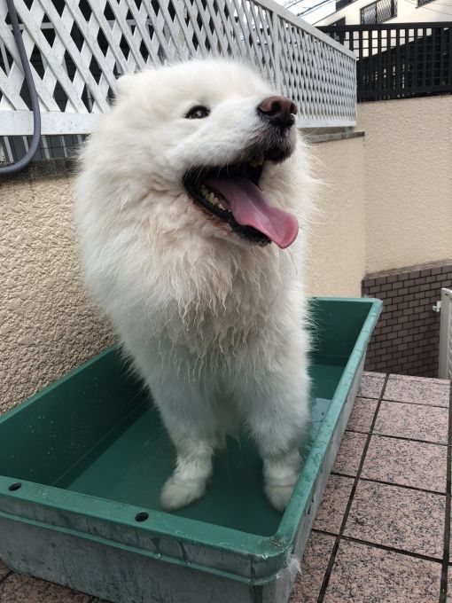 2018年10月前半インスタ画像集_f0128542_02001709.jpg