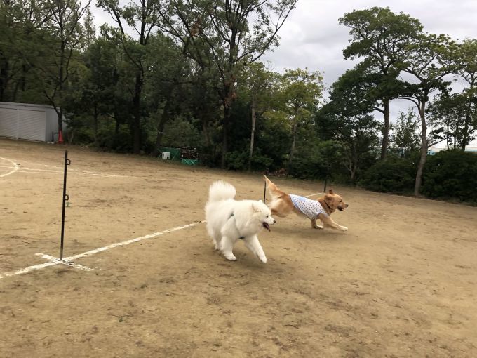 2018年10月前半インスタ画像集_f0128542_02032261.jpg