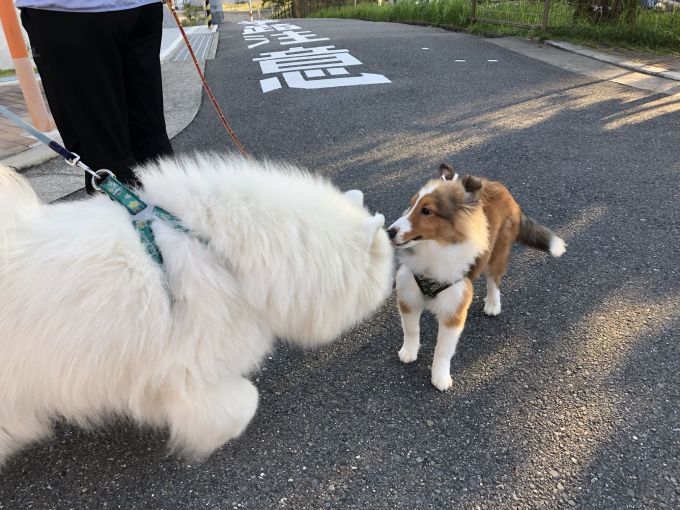 2018年10月前半インスタ画像集_f0128542_02131951.jpg