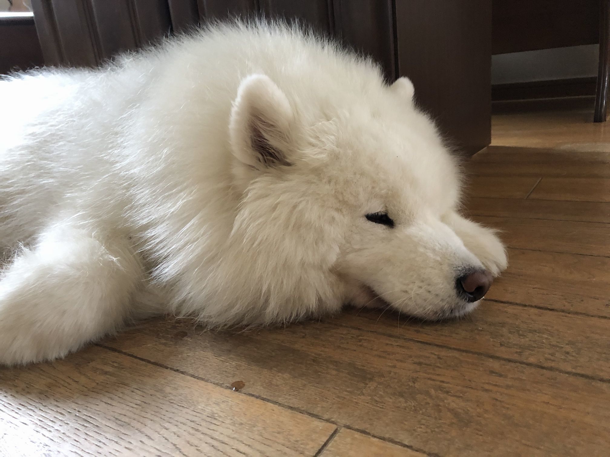 2018年10月前半インスタ画像集_f0128542_02170555.jpg