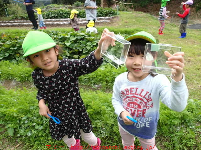 d0105749_17181778.jpg