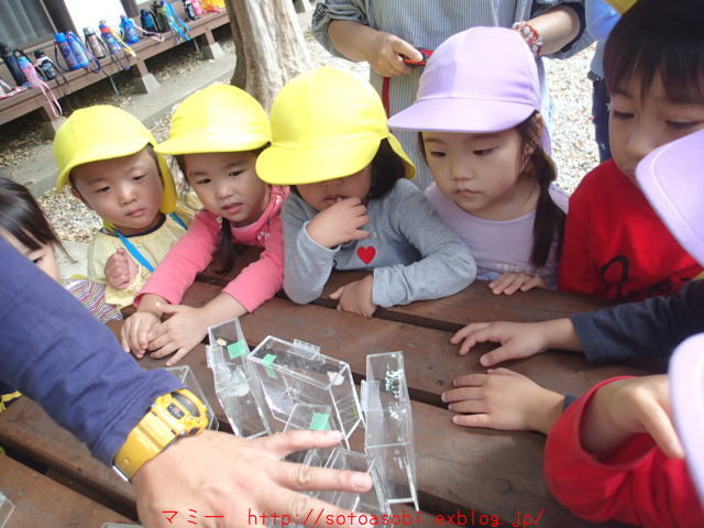 d0105749_17251390.jpg