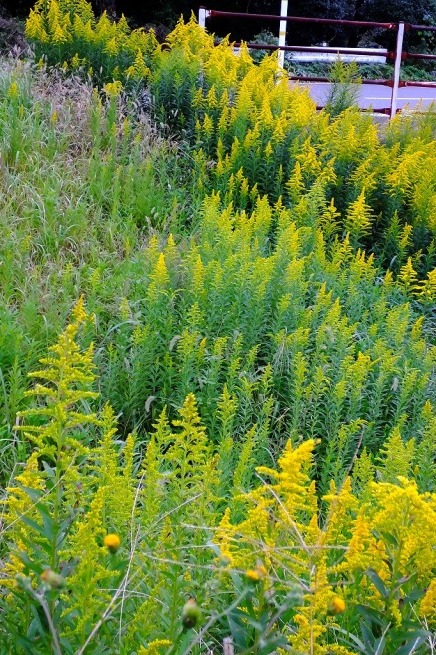 b0236251_11090895.jpg