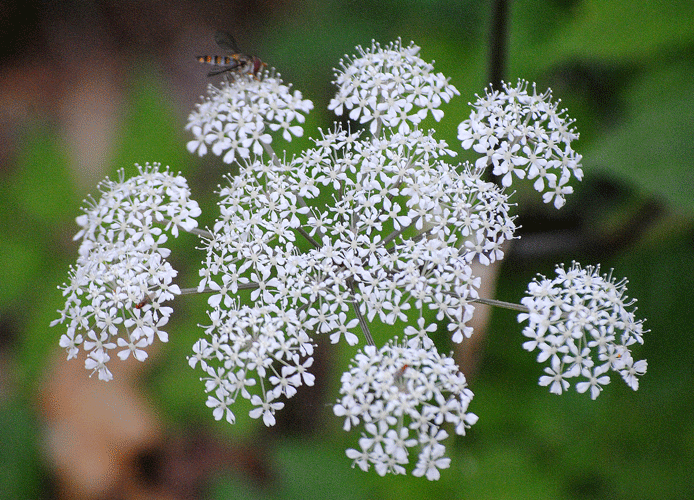 a0001354_22140504.gif