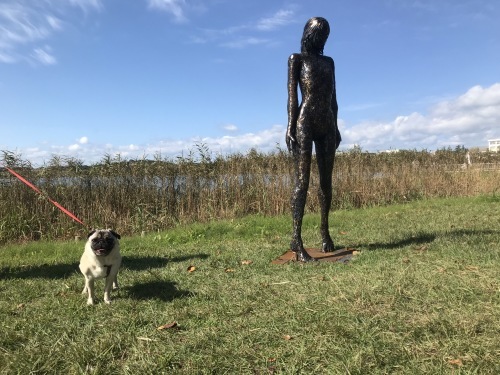 d0109356_14272838.jpeg