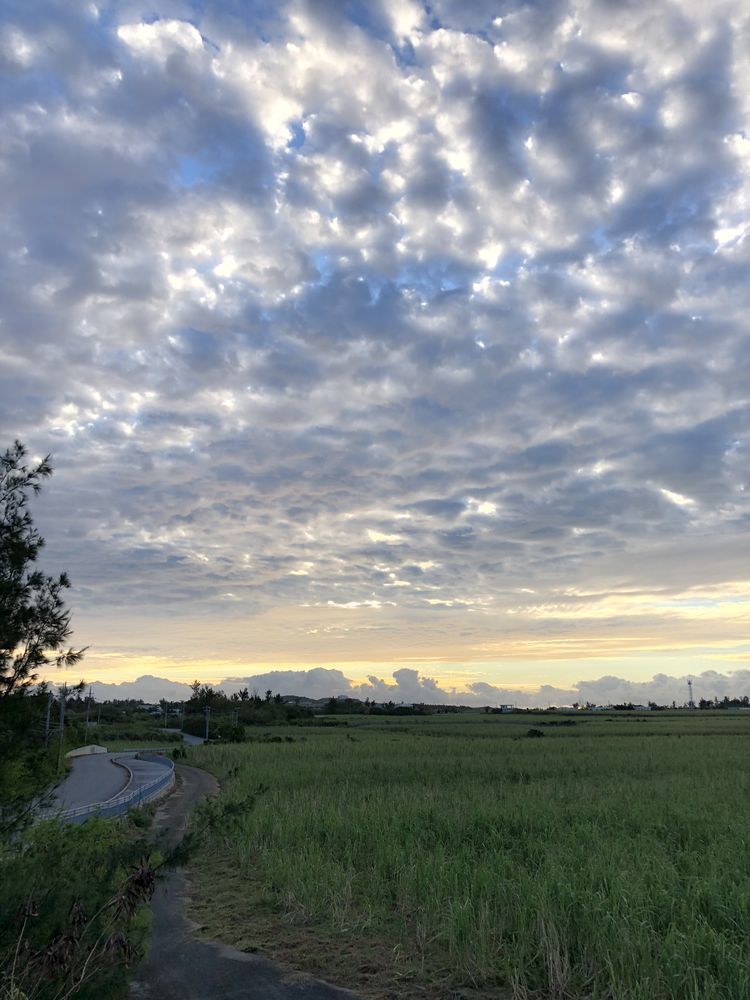 c0115660_22385089.jpg