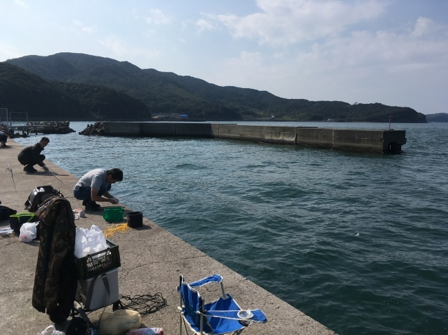 e0187064_17171066.jpeg