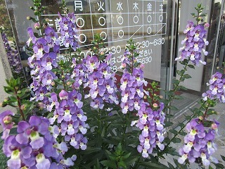 c0218368_11134957.jpg