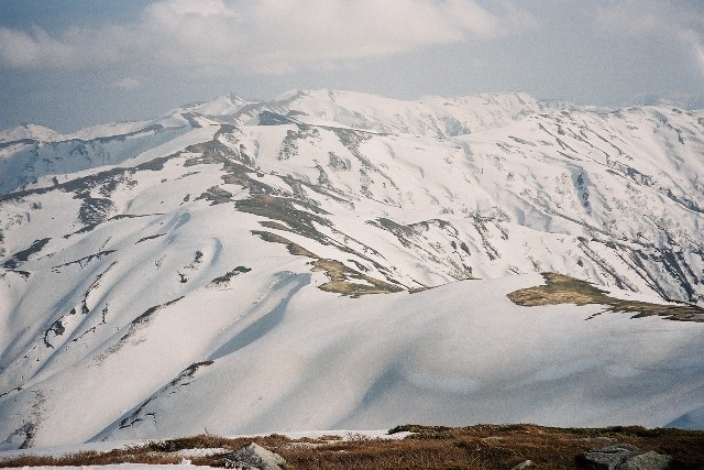 a0344771_12512223.jpg