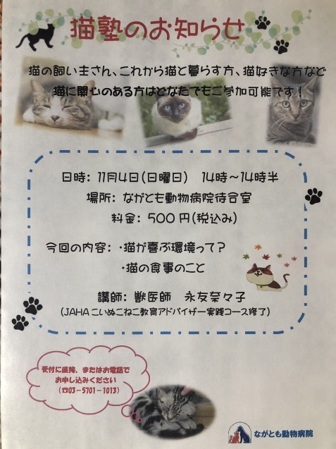 猫塾って?_e0367571_20094977.jpg