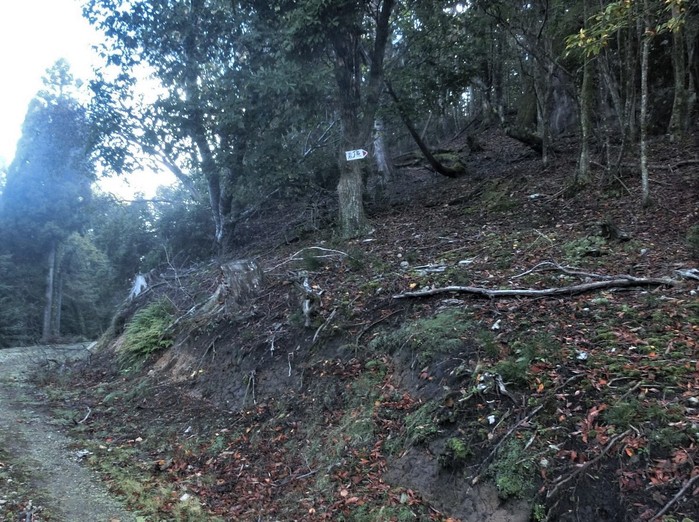b0185573_14565562.jpg