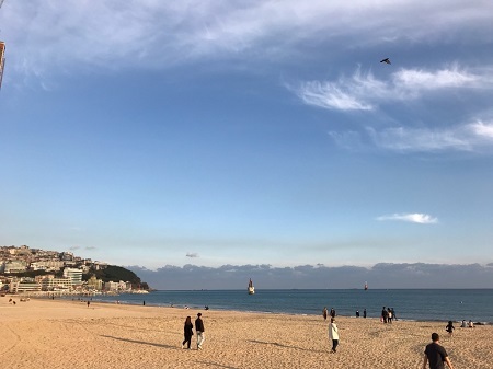 f0153673_11042064.jpg
