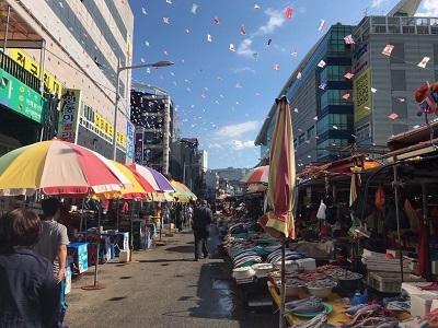 f0153673_11413073.jpg