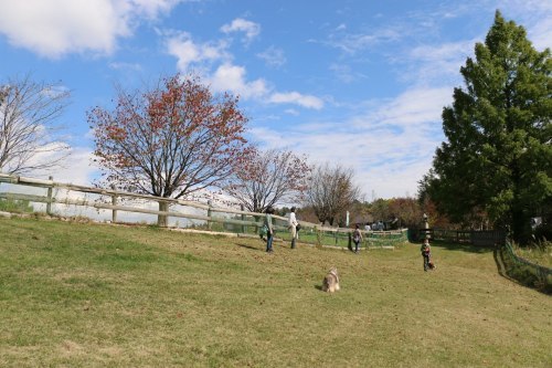a0157174_20455066.jpg