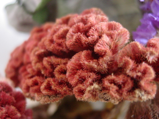 f0371475_08073001.jpg