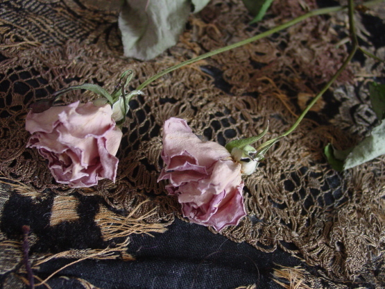 f0371475_08290973.jpg