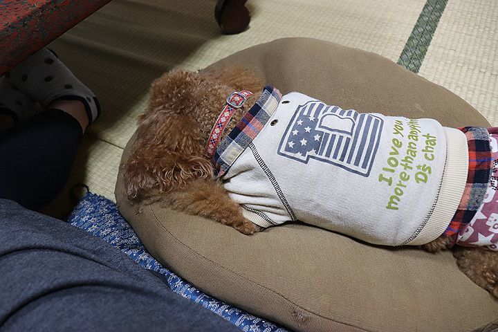 b0111376_15400852.jpg
