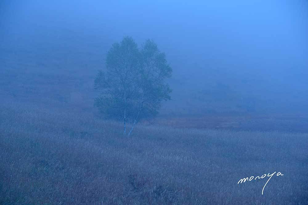 霧流れる湿原_c0085877_18045645.jpg
