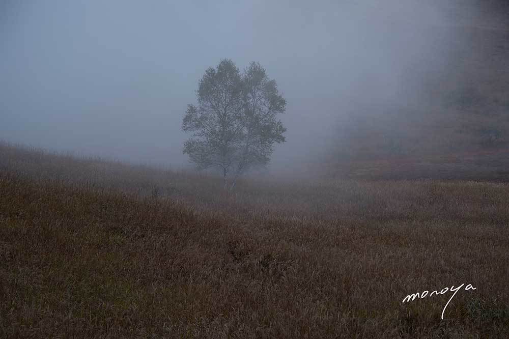 霧流れる湿原_c0085877_18051097.jpg
