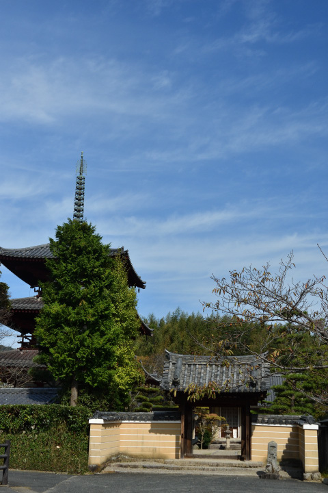 f0108478_18265512.jpg